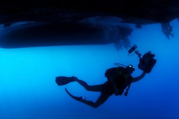 diver-ocean-person-71276